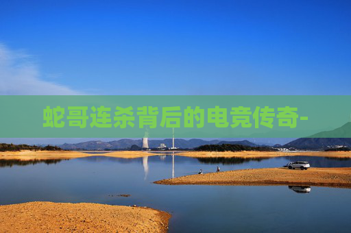 蛇哥连杀背后的电竞传奇- 蛇哥连杀背后的电竞传奇-