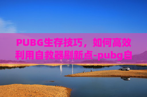 PUBG生存技巧，如何高效利用自救器刷新点-pubg自救器在哪刷新