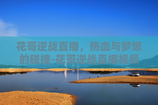 花哥逆战直播，热血与梦想的碰撞-花哥逆战直播视频