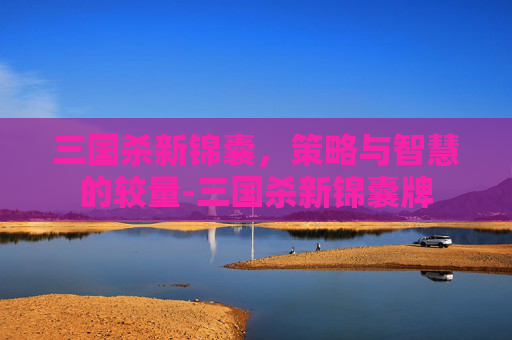 三国杀新锦囊，策略与智慧的较量-三国杀新锦囊牌