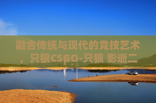 融合传统与现代的竞技艺术，只狼CSGO-只狼 影逝二度