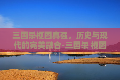 三国杀梗图真强，历史与现代的完美融合-三国杀 梗图
