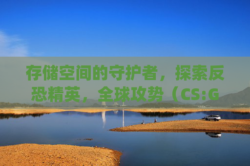 存储空间的守护者，探索反恐精英，全球攻势（CS:GO）对硬盘的影响-csgo硬盘占用100