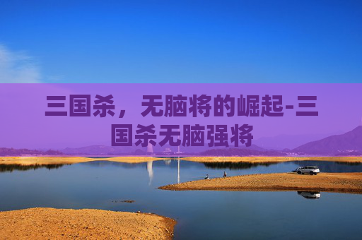 三国杀,无脑将的崛起-三国杀无脑强将 三国杀,无脑将的崛起-三国杀无脑强将