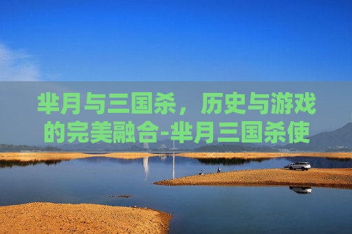 芈月与三国杀，历史与游戏的完美融合-芈月三国杀使用技能的时候从谁开始