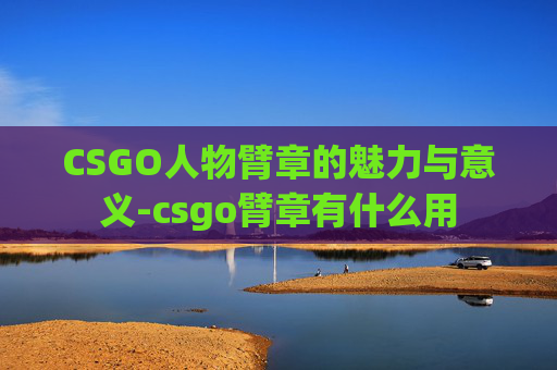 CSGO人物臂章的魅力与意义-csgo臂章有什么用 CSGO人物臂章的魅力与意义-csgo臂章有什么用
