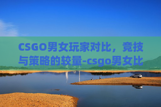 CSGO男女玩家对比，竞技与策略的较量-csgo男女比例