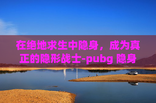 在绝地求生中隐身，成为真正的隐形战士-pubg 隐身