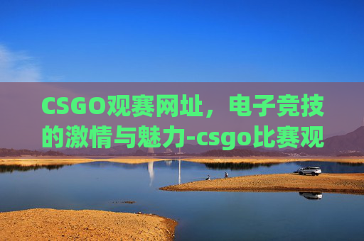 CSGO观赛网址，电子竞技的激情与魅力-csgo比赛观看