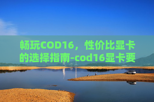 畅玩COD16，性价比显卡的选择指南-cod16显卡要求