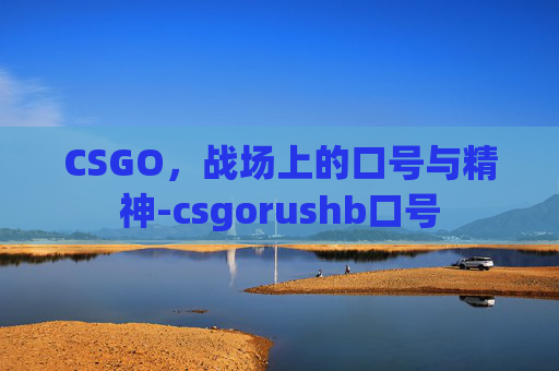 CSGO,战场上的口号与精神-csgorushb口号 CSGO,战场上的口号与精神-csgorushb口号