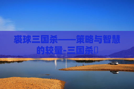 裘球三国杀——策略与智慧的较量-三国杀殺