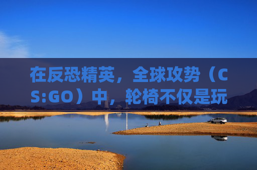 在反恐精英,全球攻势(CS:GO)中,轮椅不仅是玩家的移动工具,更是他们个性和精神的象征。-CSgo头像 在反恐精英,全球攻势(CS:GO)中,轮椅不仅是玩家的移动工具,更是他们个性和精神的象征。-CSgo头像