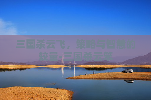 三国杀云飞,策略与智慧的较量-三国杀云笨 三国杀云飞,策略与智慧的较量-三国杀云笨