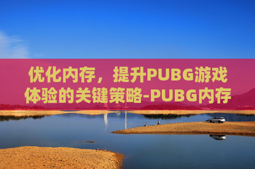 优化内存，提升PUBG游戏体验的关键策略-PUBG内存不够