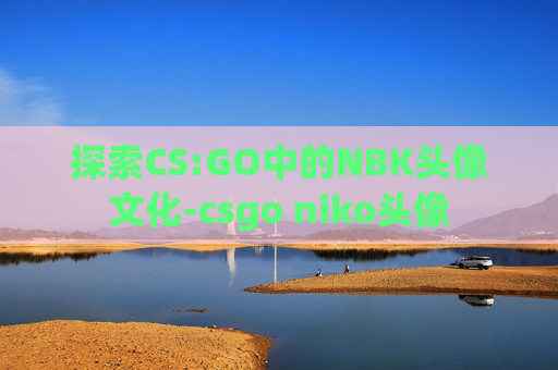 探索CS:GO中的NBK头像文化-csgo niko头像 探索CS:GO中的NBK头像文化-csgo niko头像