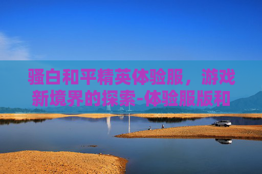 骚白和平精英体验服，游戏新境界的探索-体验服版和平精英