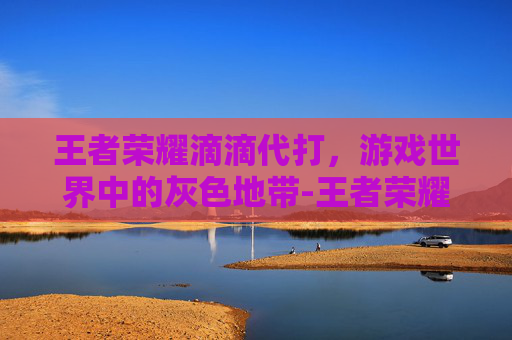 王者荣耀滴滴代打，游戏世界中的灰色地带-王者荣耀滴滴代打多少钱