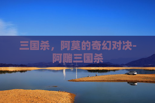 三国杀，阿莫的奇幻对决-阿雕三国杀