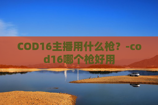 COD16主播用什么枪？-cod16哪个枪好用