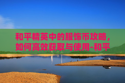 和平精英中的服饰币攻略,如何高效获取与使用-和平精英怎么过得服饰币啊 和平精英中的服饰币攻略,如何高效获取与使用-和平精英怎么过得服饰币啊