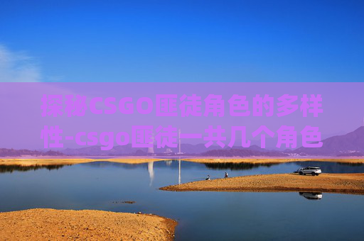 探秘CSGO匪徒角色的多样性-csgo匪徒一共几个角色啊