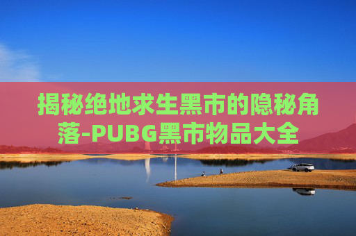 揭秘绝地求生黑市的隐秘角落-PUBG黑市物品大全