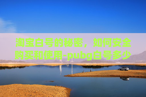 淘宝白号的秘密，如何安全购买和使用-pubg白号多少钱