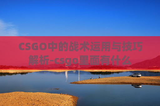 CSGO中的战术运用与技巧解析-csgo里面有什么 CSGO中的战术运用与技巧解析-csgo里面有什么