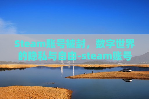 Steam账号被封,数字世界的隐私与自由-steam账号都封了怎么找回来 Steam账号被封,数字世界的隐私与自由-steam账号都封了怎么找回来