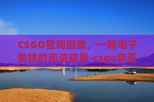 CSGO官司回放，一场电子竞技的司法较量-csgo官匹回放