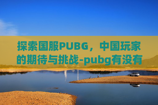 探索国服PUBG，中国玩家的期待与挑战-pubg有没有国服