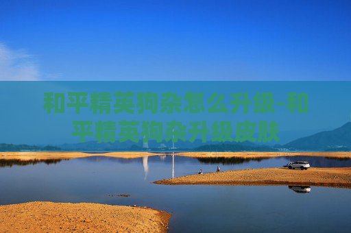 和平精英狗杂怎么升级-和平精英狗杂升级皮肤