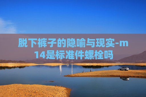 脱下裤子的隐喻与现实-m14是标准件螺栓吗 脱下裤子的隐喻与现实-m14是标准件螺栓吗