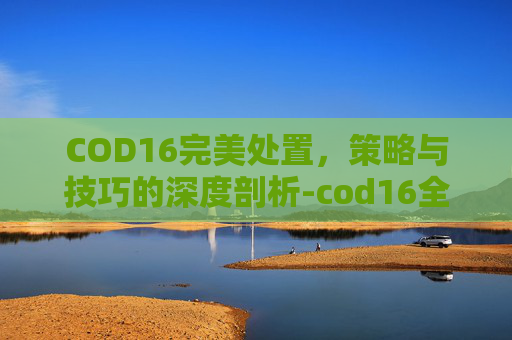 COD16完美处置，策略与技巧的深度剖析-cod16全解