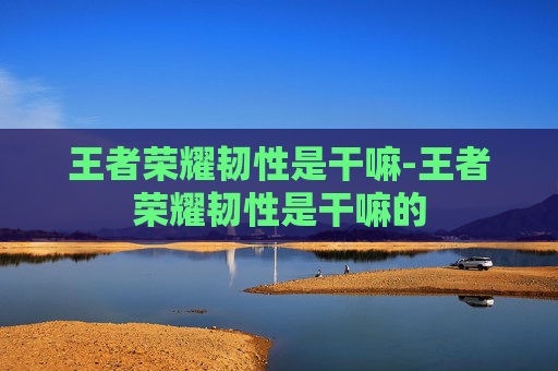 王者荣耀韧性是干嘛-王者荣耀韧性是干嘛的