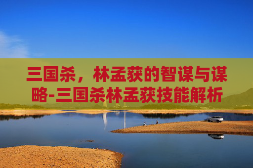 三国杀，林孟获的智谋与谋略-三国杀林孟获技能解析