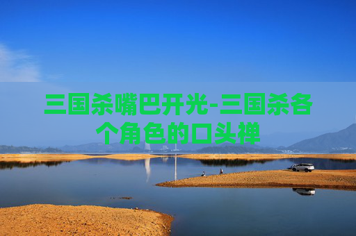 三国杀嘴巴开光-三国杀各个角色的口头禅