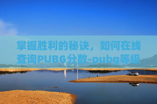掌握胜利的秘诀，如何在线查询PUBG分数-pubg等级查询入口