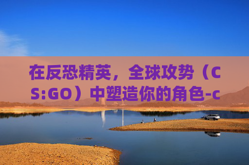 在反恐精英,全球攻势(CS:GO)中塑造你的角色-csgo游戏人物 在反恐精英,全球攻势(CS:GO)中塑造你的角色-csgo游戏人物