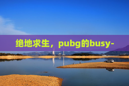 绝地求生,pubg的busy- 绝地求生,pubg的busy-