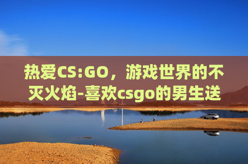 热爱CS:GO,游戏世界的不灭火焰-喜欢csgo的男生送什么礼物 热爱CS:GO,游戏世界的不灭火焰-喜欢csgo的男生送什么礼物