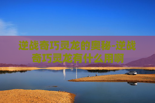 逆战奇巧灵龙的奥秘-逆战奇巧灵龙有什么用啊