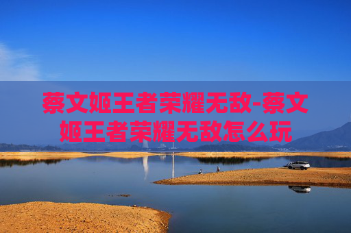 蔡文姬王者荣耀无敌-蔡文姬王者荣耀无敌怎么玩 蔡文姬王者荣耀无敌-蔡文姬王者荣耀无敌怎么玩