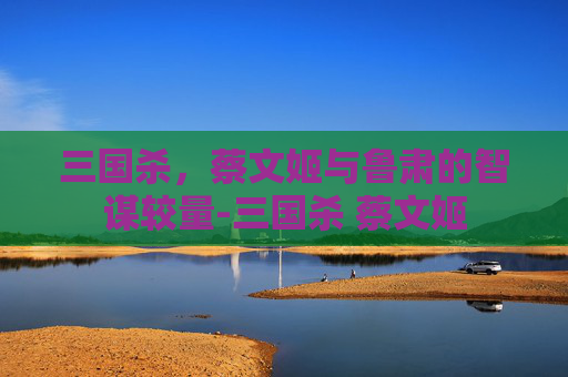 三国杀，蔡文姬与鲁肃的智谋较量-三国杀 蔡文姬
