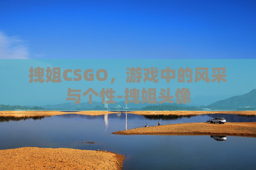 拽姐CSGO，游戏中的风采与个性-拽姐头像