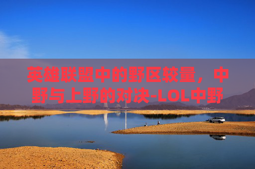 英雄联盟中的野区较量，中野与上野的对决-LOL中野组合一览表