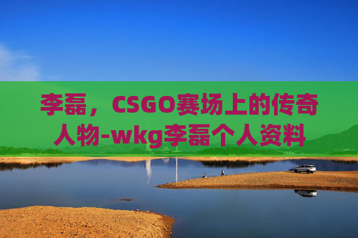 李磊，CSGO赛场上的传奇人物-wkg李磊个人资料