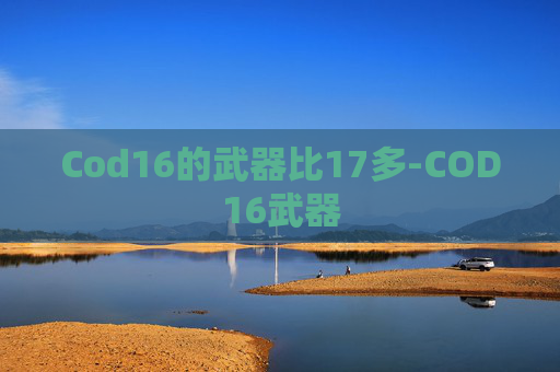 Cod16的武器比17多-COD16武器