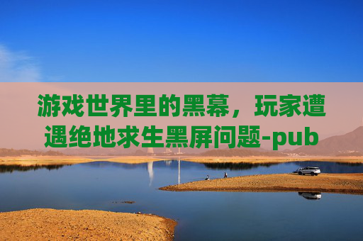 游戏世界里的黑幕，玩家遭遇绝地求生黑屏问题-pubg一进去就黑屏
